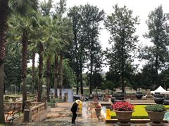 -翠湖宾馆·中餐厅