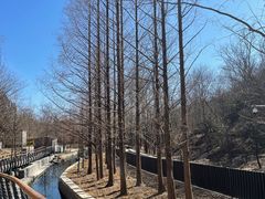 -白水寺森林公园