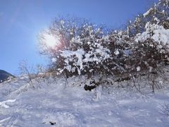 -太子岭滑雪场