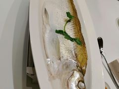 清蒸白水鱼-张福记(陇海中路店)