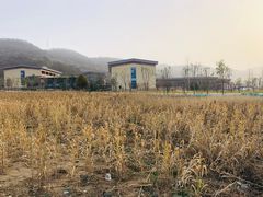 -南泥湾风景区