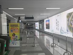 -月龍吟(朝龙汇店)