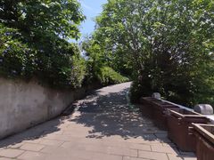 -光明港公园