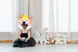 -小熊维尼高端孕婴摄影(清湖金銮店)