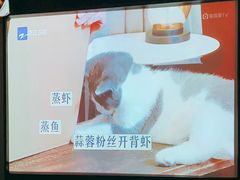 -和子足浴SPA会馆(东方之门店)