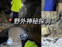 -银峰农庄·特色烧鸡·鲜无花果浸鸡