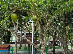 -三亚海棠湾万丽度假酒店