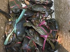 -宋记香辣蟹(曹家渡店)