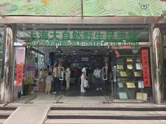 -上海大自然野生昆虫馆(东方明珠·爬宠昆虫探索中心)