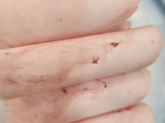 -马记伊源斋涮肉·清真菜(潘家园古玩市场店)