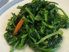 豌豆苗-106餐厅(山水文园店)