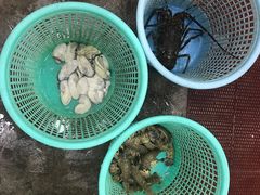 -喜相逢海鲜美食城(五邑平价农副产品批发市场店)