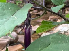 -东天目山风景区
