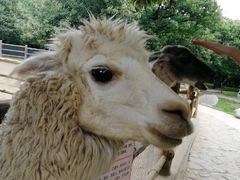 -西安秦岭野生动物园