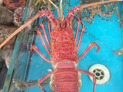 -亚龙湾8号(丁村万人海鲜广场店)