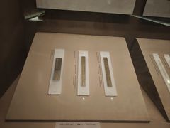 -长沙简牍博物馆