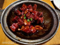 美女红烧肉-涌上外婆桥(南塘店)