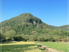 -八卦田遗址公园