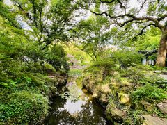-上海醉白池公园