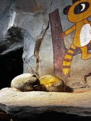 -Zoolung Zoolung动物主题公园(海信广场店)