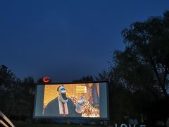 -枫花园汽车电影院(朝阳公园店)