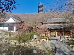-大伊山景区