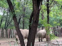 -北京野生动物园