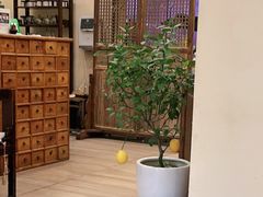 -五观堂素食(新华路店)