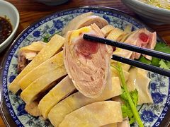 -九斤黄三黄鸡专卖店