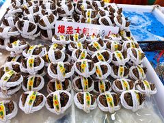 -大湾区中央湿地公园-十九涌