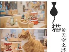 -猫的天空之城概念书店(印象城购物中心店)