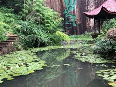 -莫干山风景区