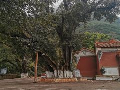 -抚仙湖禄充风景区