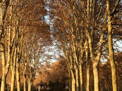 -河南省黄河迎宾馆