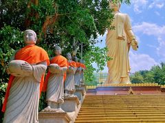 -西双版纳勐泐文化旅游区