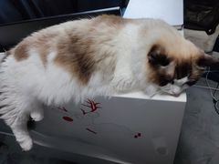 -零纪元VR体验馆·桌游(黄浦店)