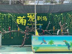 -长廊欢乐园