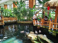 -南宫五洲植物乐园