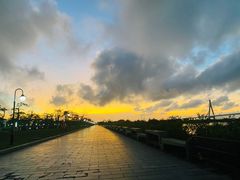 -芒洲湿地公园