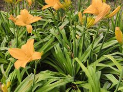 -汉长安城未央宫国家考古遗址公园