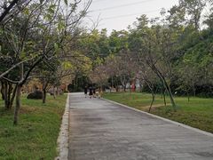 -广州市帽峰山景区