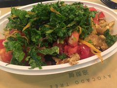 -油梨树 AVOCADO TREE(亮马桥店)