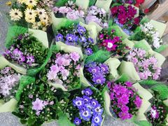 -白塘生态植物园