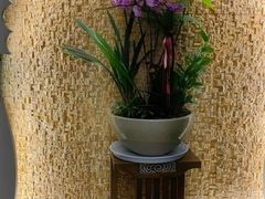 -颐而康·按摩·艾灸·足疗(汽车东站店)