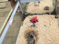 -凯德广场(金牛店)