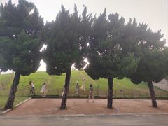 -小麦岛公园