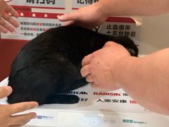 -御宝贝24h宠物医院·转诊中心·CT核磁血透中心(厦门总院)