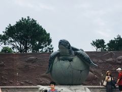 -广东惠东海龟国家级自然保护区
