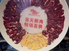 -手选潮汕鲜活牛肉火锅(二七广场店)