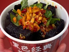 -黑色经典臭豆腐·湖南特产(坡子街店)